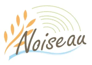 NOISEAU